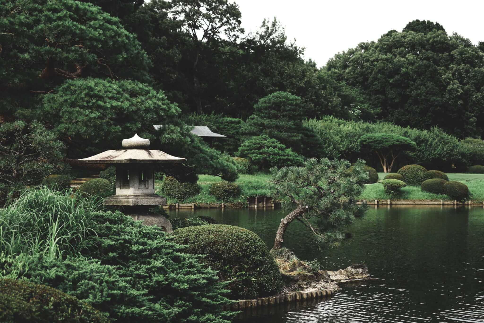 Un jardín japonés bellamente cuidado que cuenta con un estanque sereno y árboles frondosos, mantenido por paisajistas expertos en el condado de Bergen, Nueva Jersey.