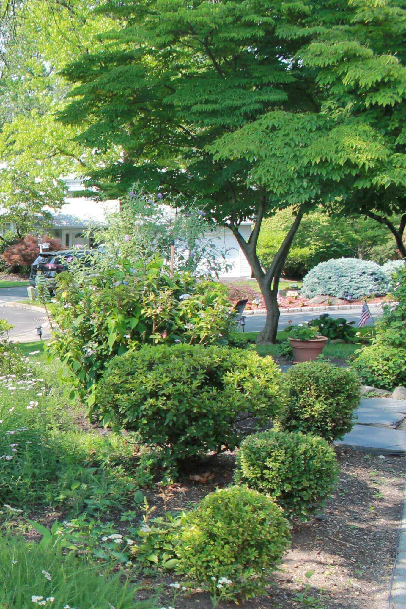 Jardín paisajístico en el condado de Bergen, con frondosos arbustos y árboles.