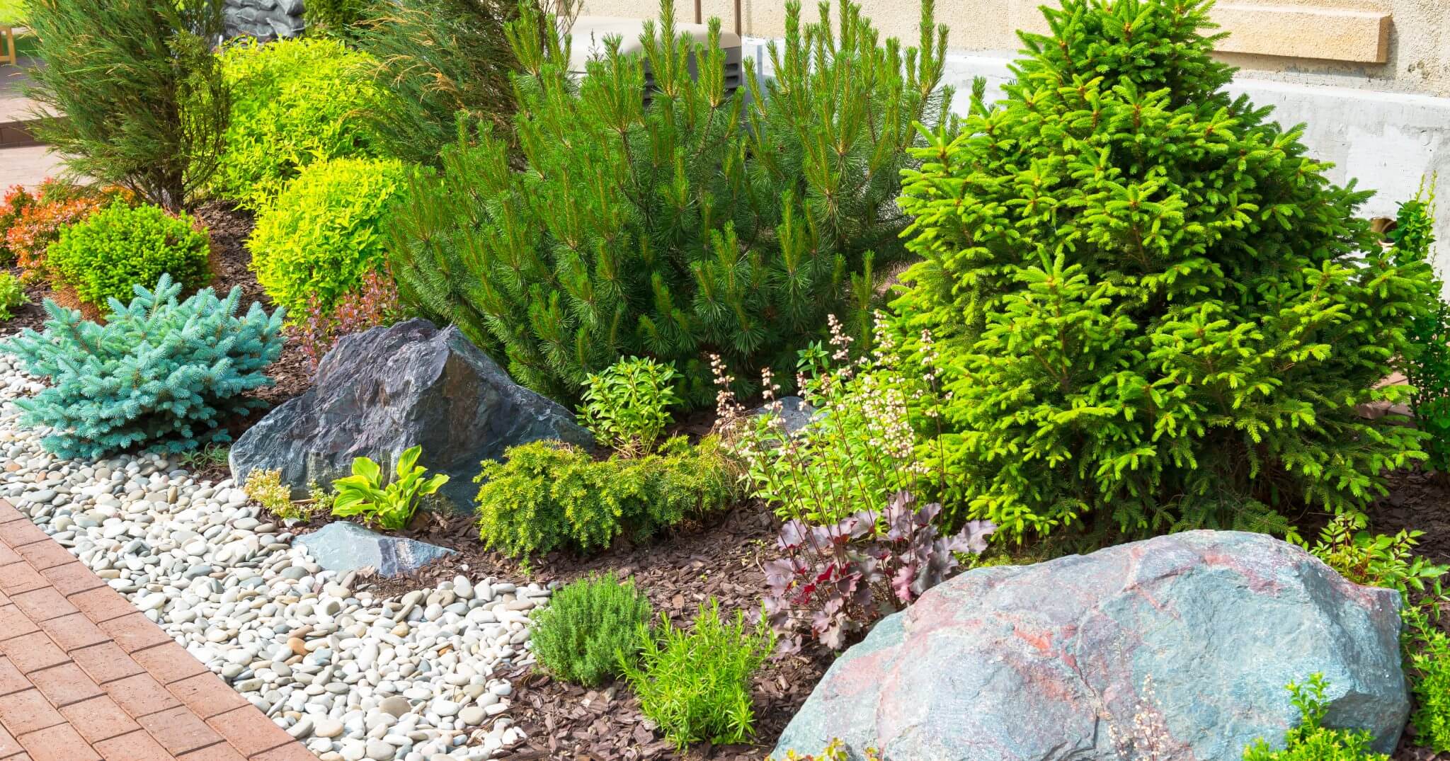 A garden with various green shrubs, bushes, and trees alongside rocks and a pebble pathway.